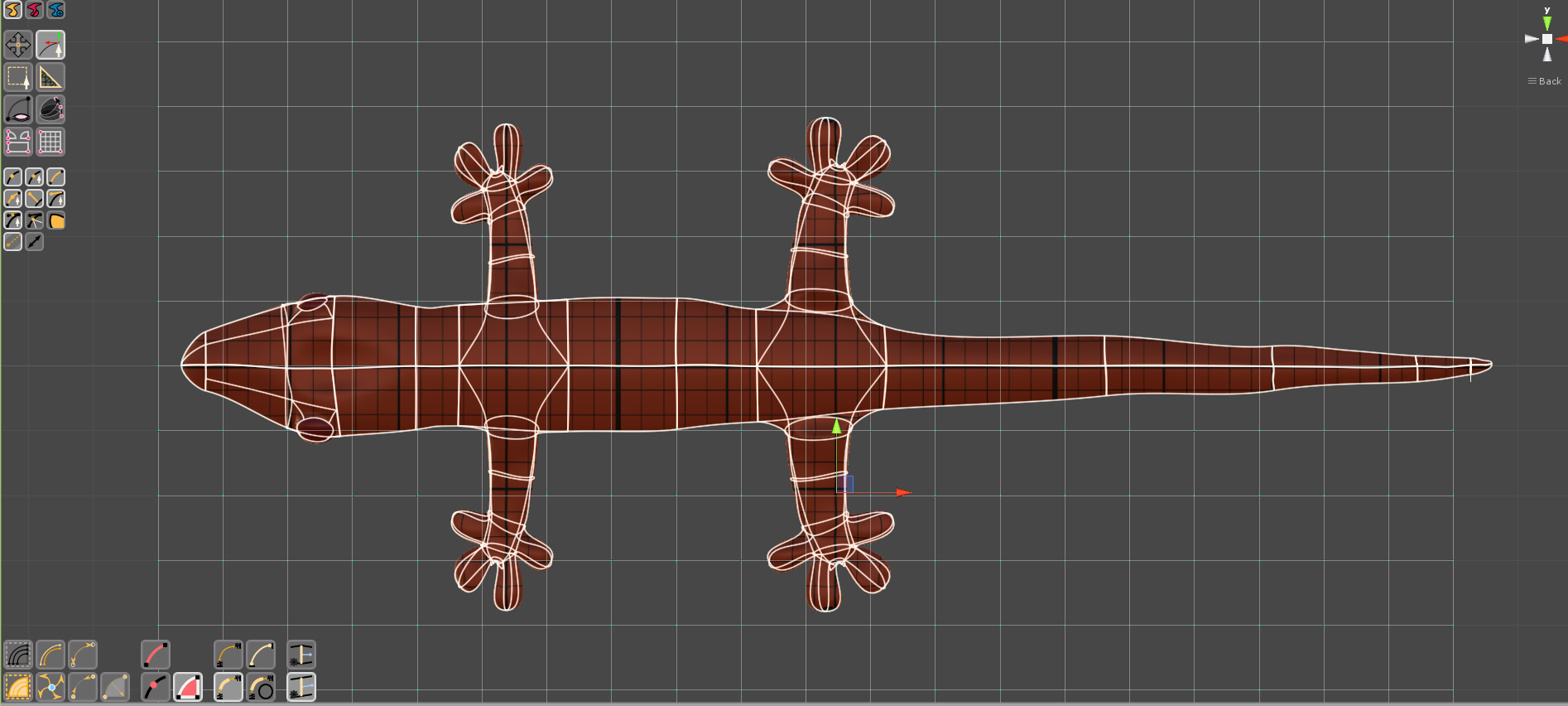 A Lizard Model